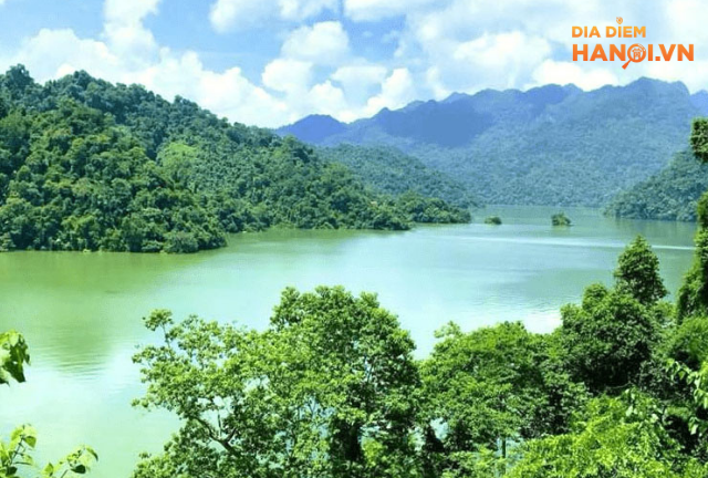 Trải nghiệm hồ câu tự nhiên "Miễn phí" ở Hà Nội 