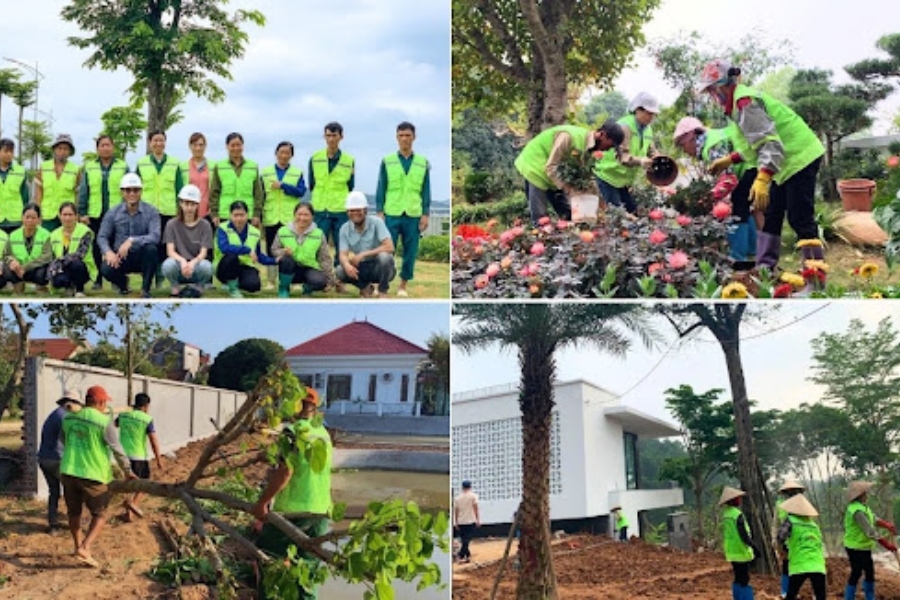 Công ty TNHH Cảnh Quan Xanh EGO Việt Nam - EGOGREEN