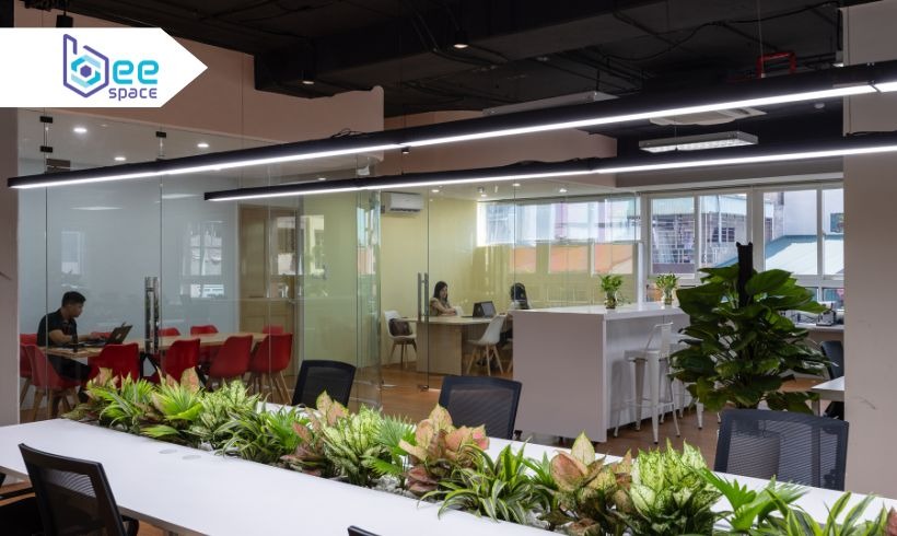 Không gian văn phòng riêng nổi bật với thiết kế sáng tạo, khuyến khích sự giao lưu và hợp tác